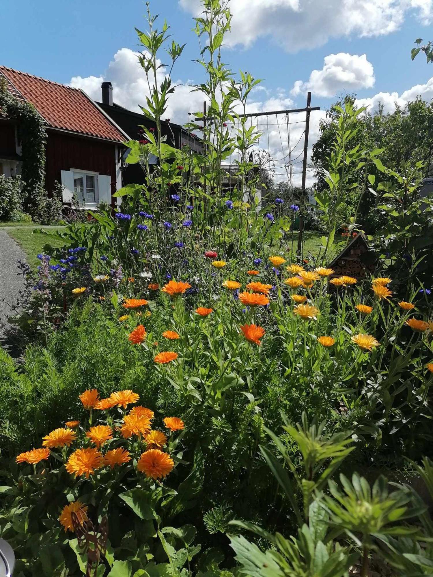 Rustik Stuga Med Lantlig Kaensla Naera Oerebro City Bagian luar foto