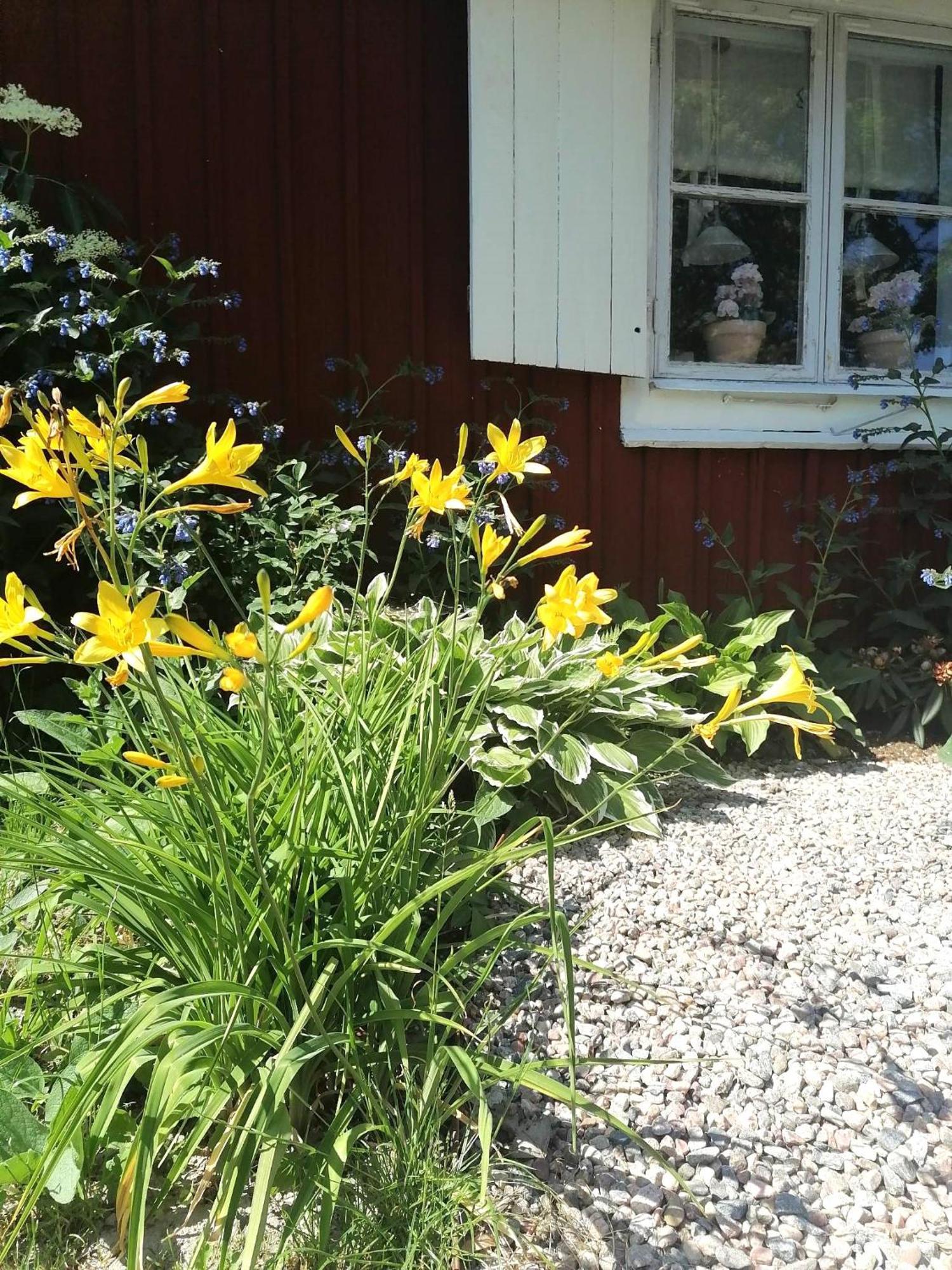 Rustik Stuga Med Lantlig Kaensla Naera Oerebro City Bagian luar foto